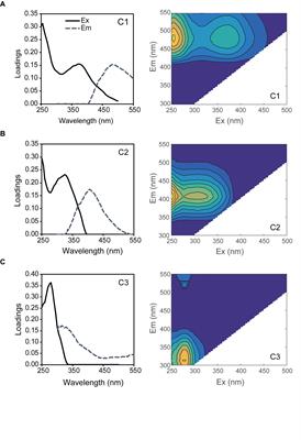 Experimental Analysis of Diurnal Variations in Humic-Like Fluorescent Dissolved Organic Matter in Surface Seawater